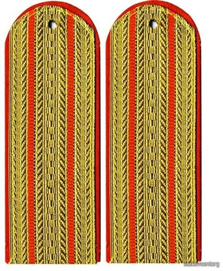 Погоны парадные золотые металлизированные МЧС два просвета