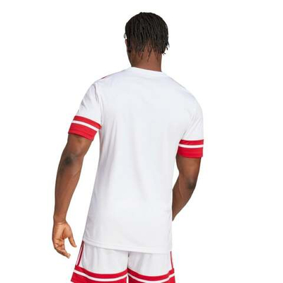 Баскетбольная мужская футболка adidas Squadra 25