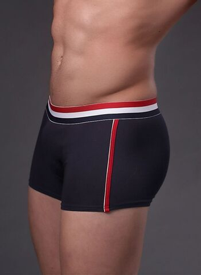 Мужские боксеры с полосками на резинке (Размер: M) (Цвет: темно-синий)