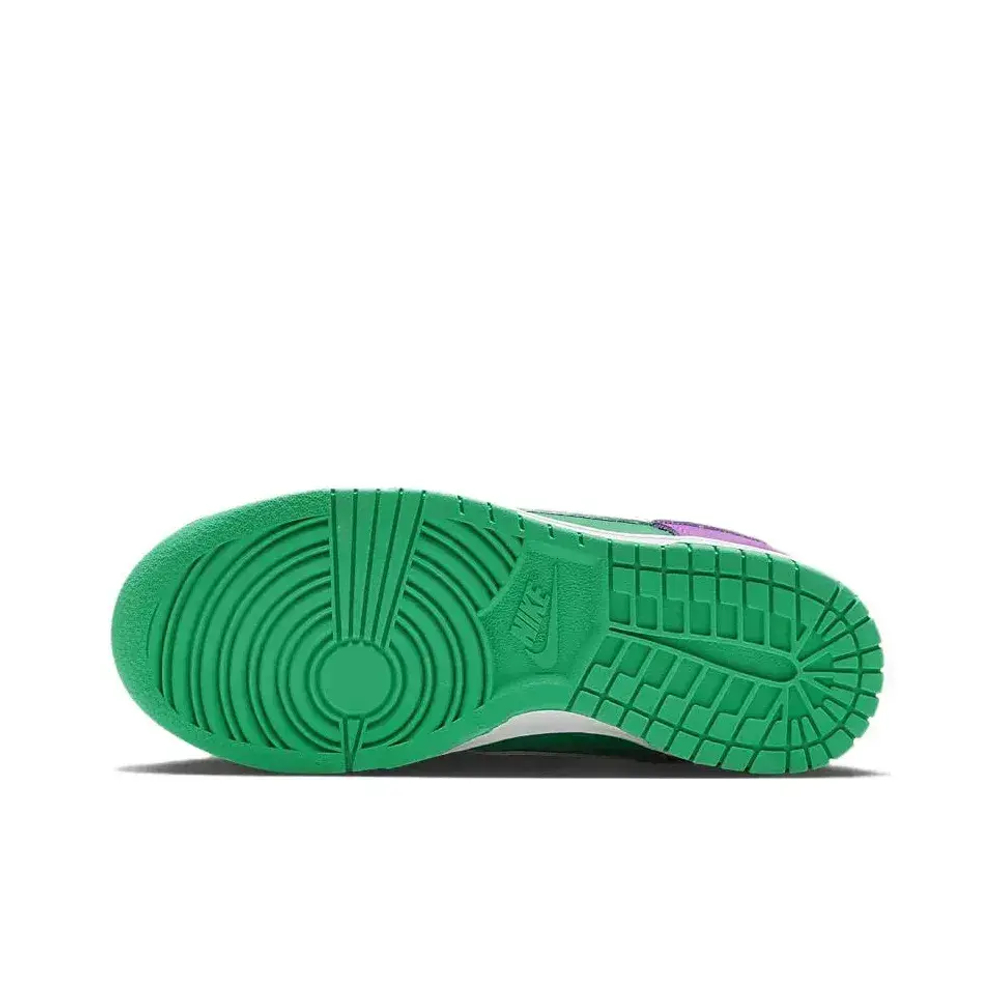 Nike Dunk Low Skate shoes