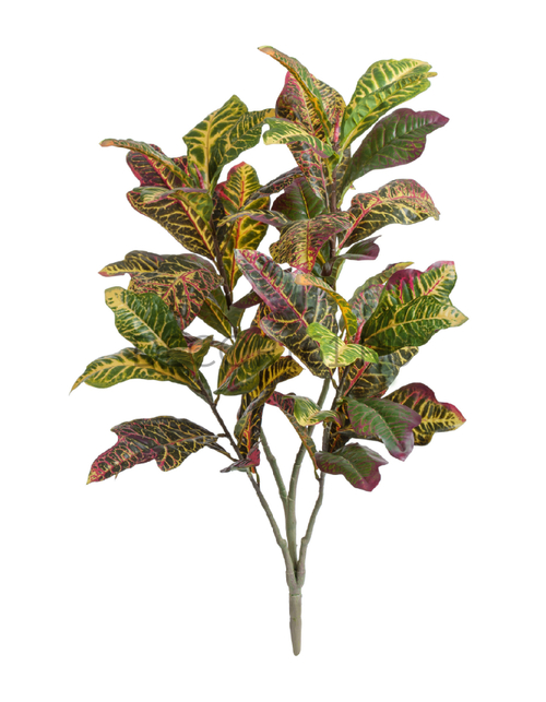 Кротон куст Большой зелёно-жёлто-розовый в-85 см (Sensitive Botanic) 4/20 20.1146GYP