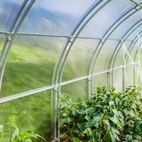 Тепличный сотовый поликарбонат