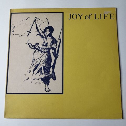 Винтажная виниловая пластинка LP Joy Of Life Enjoy (UK 1985) Mini-Album