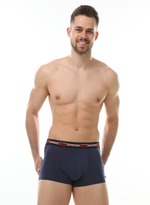 Мужские трусы-боксеры с широкой мягкой брендированной резинкой (Размер: L) (Цвет: красный)