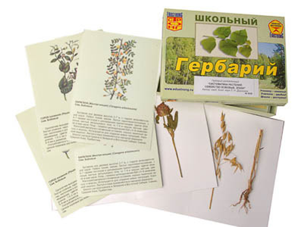 Комплект гербариев раздаточных