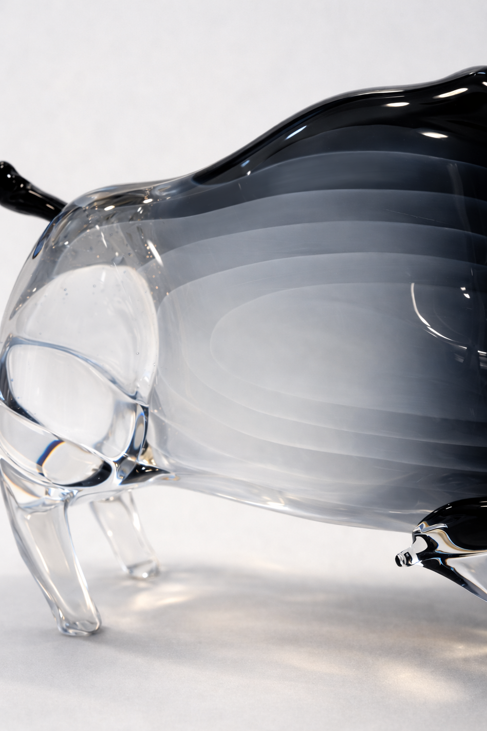 Бык Нотте-Бореале