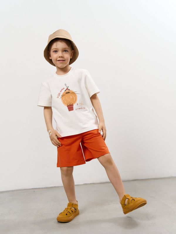 Шорты трикотажные 