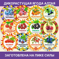 Шалфей пучок.