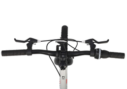 Велосипед Детский Maxiscoo 3BIKE 20'' L Серый (2025)