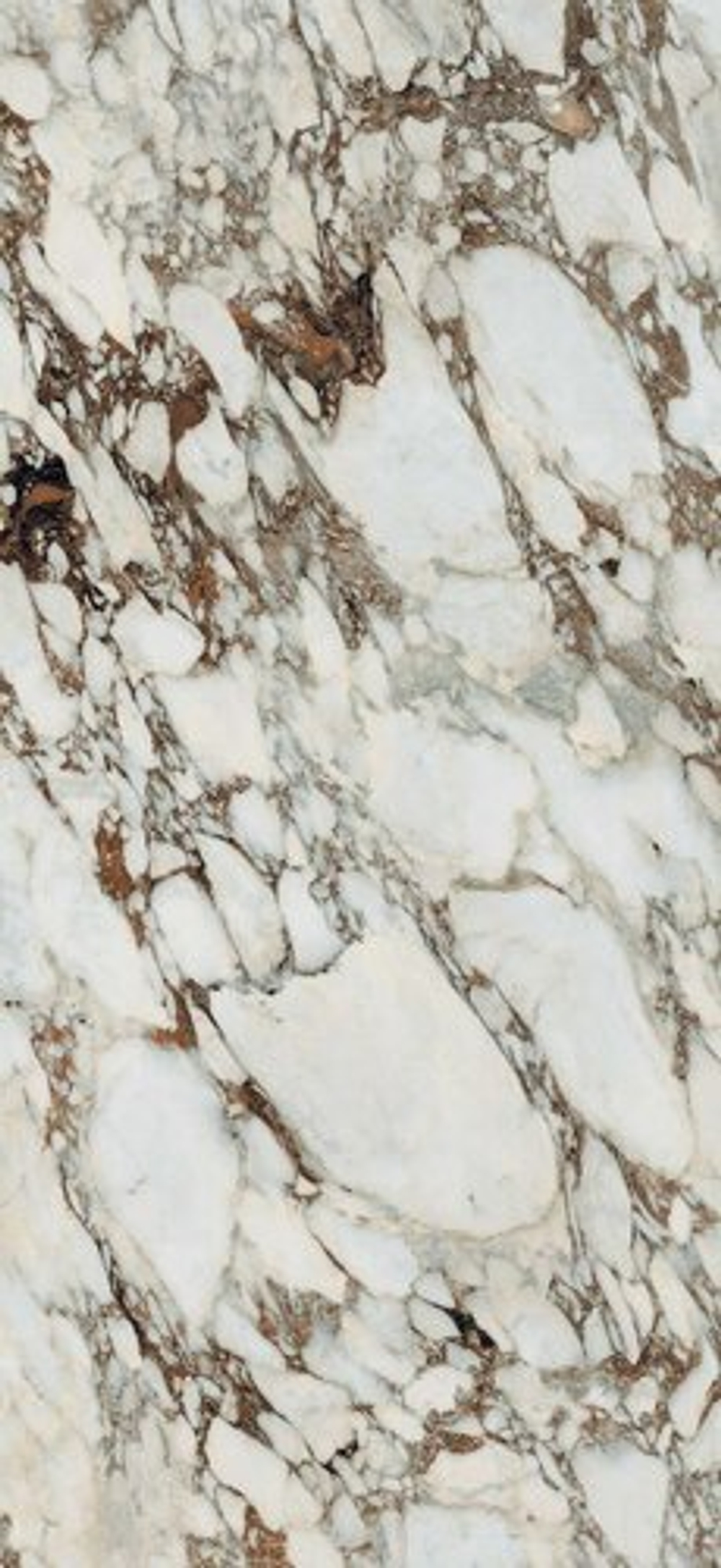 Керамогранит LES BIJOUX DE REX BRECHE CAPRAIA GLO 6MM 120X280 R (765699) глянц.