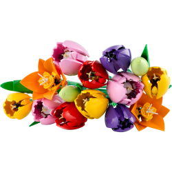 LEGO Botanicals - Букет тюльпанов 11501