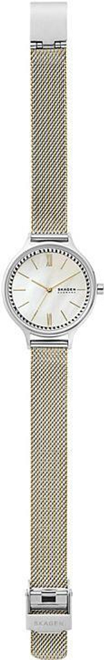 Женские наручные часы Skagen SKW2908