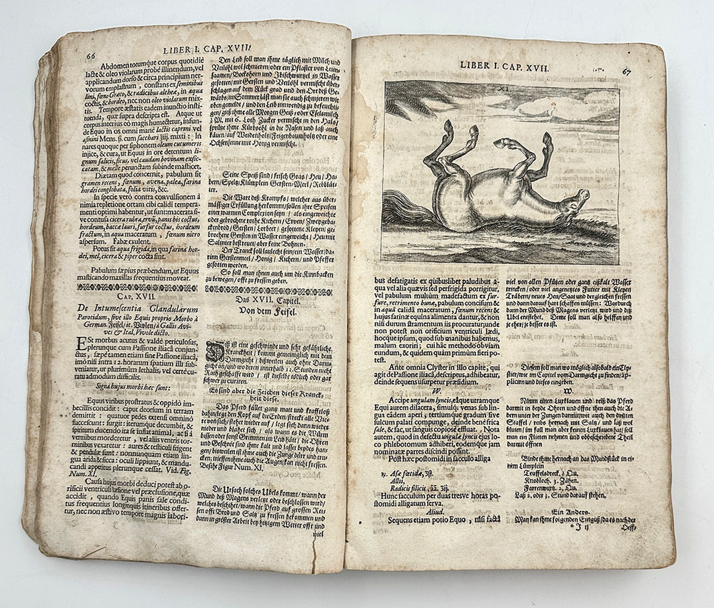 Винтер Г. С. Гиппиатр. Эксперт по лошадям, или полное собрание по медицине. 1678