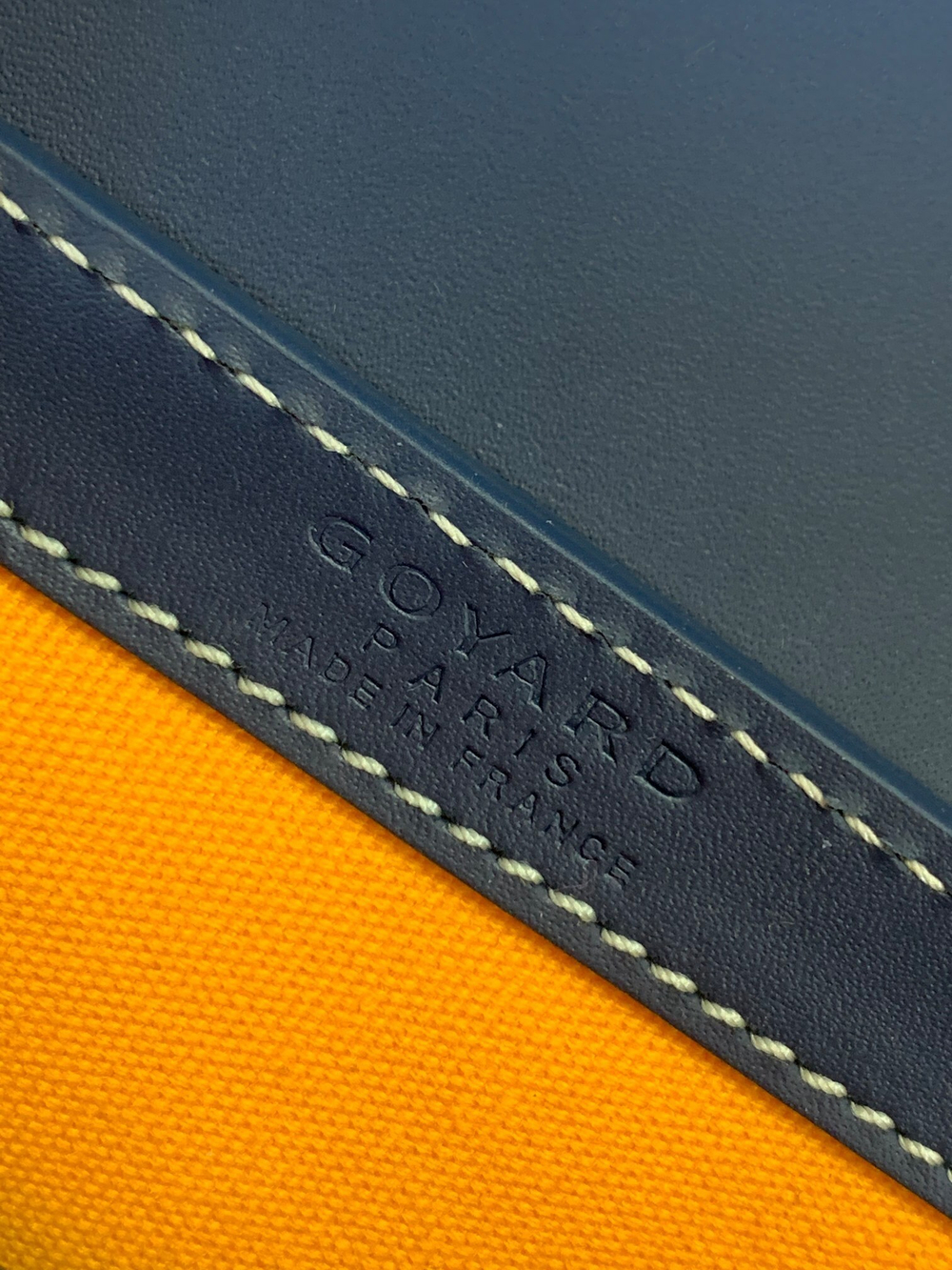 Goyard Saigon Mini Trunk Bag