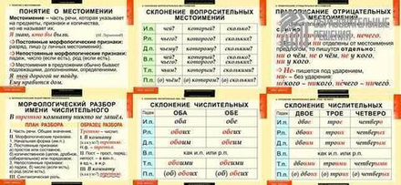 Русский язык. Числительные и местоимения