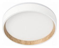 Накладной светильник Citilux Etalon CL750180