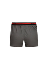 Трусики-боксеры 2шт. Hugo Bodywear - серый(50469774)