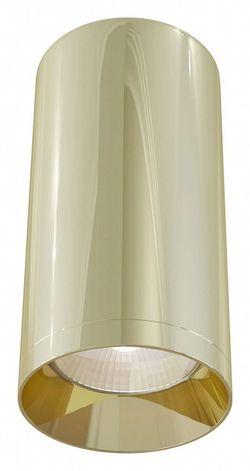 Накладной светильник Maytoni Focus C010CL-01G