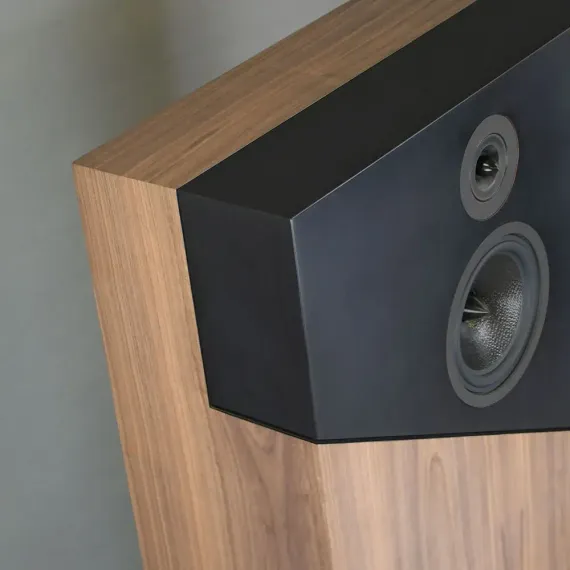 Davis Acoustics THE WALL Walnut