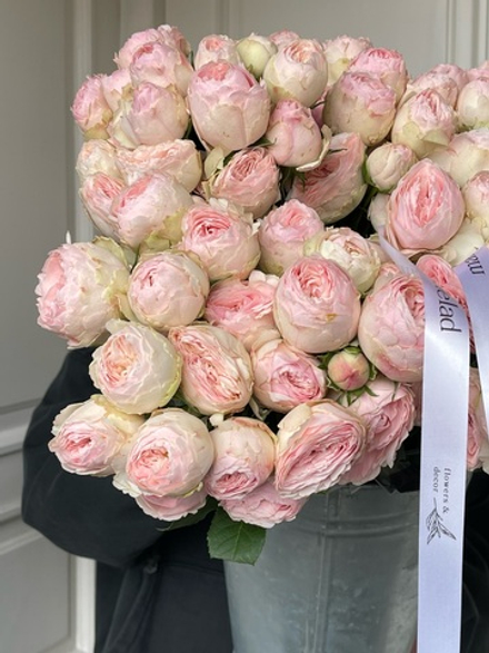 Пионовидная кустовая роза Менсфилд Парк