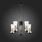Подвесная люстра Evoluce Rammo SLE112403-05