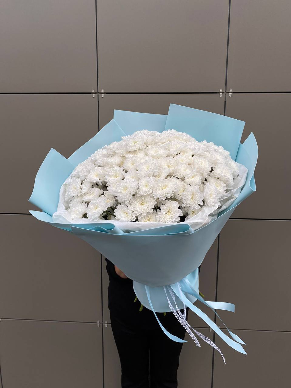 Хризантемы белый айсберг