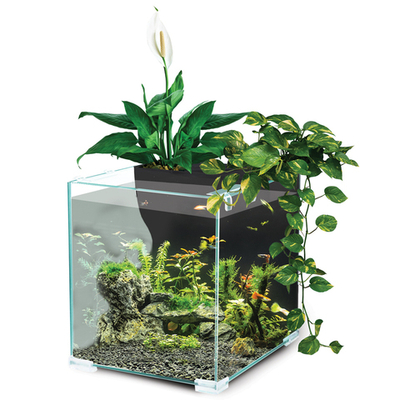 Аквариум Botanic, черный, 9,4л, 243*203*236мм, Laguna AQUA