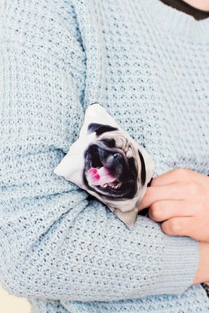 Кошелечек Pug