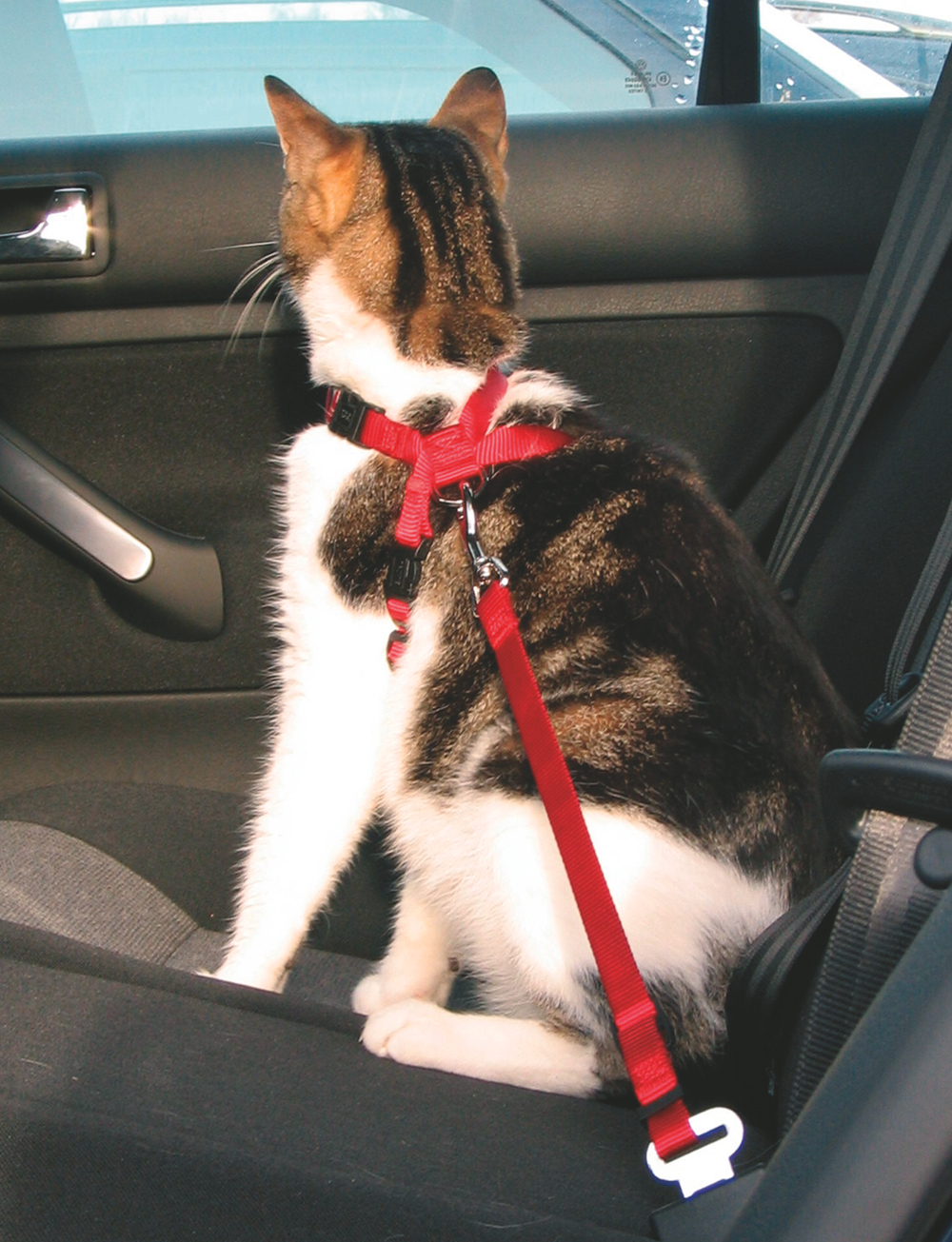 Шлейка Trixie "Car Harness", для кошек, нейлоновая, для автомобилей, размер 20-50см