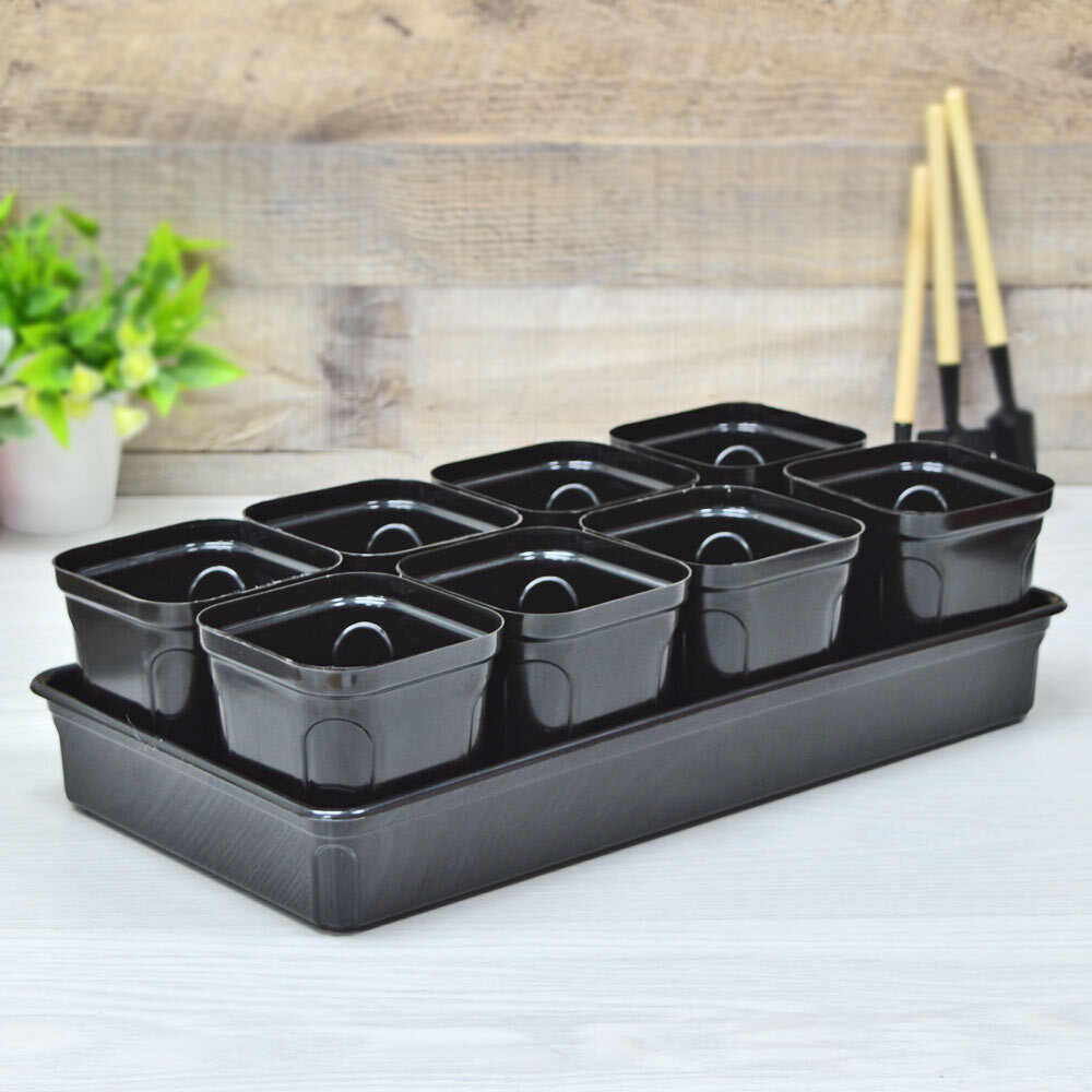 Набор для рассады "Пианто" 8 стаканчиков 645мл на поддоне