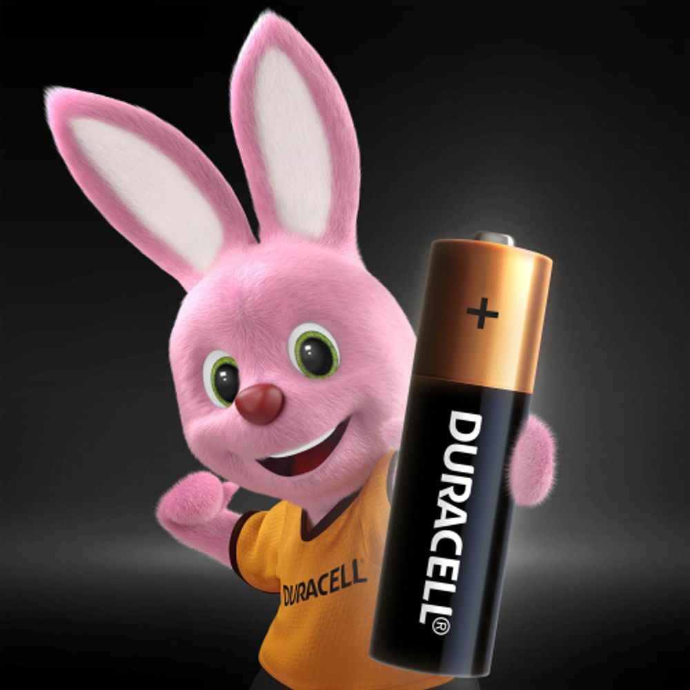 Duracell LR6-8BL BASIC | Батарейки Щелочные (Алкалиновые)