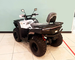 Квадроцикл BASHAN EXPLORER 300 BASIC