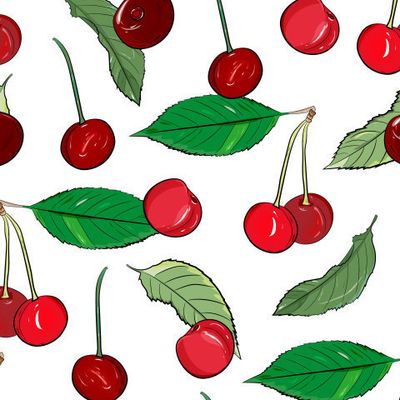 Ripe cherries summer berry
