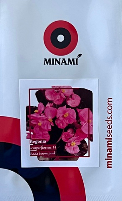 Бегония вечноцветущая Бада бум F1 розовая 30шт.