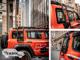 Боковая лесенка MEIKA для TANK 300