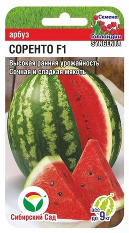 Арбуз Соренто 3шт СибСад