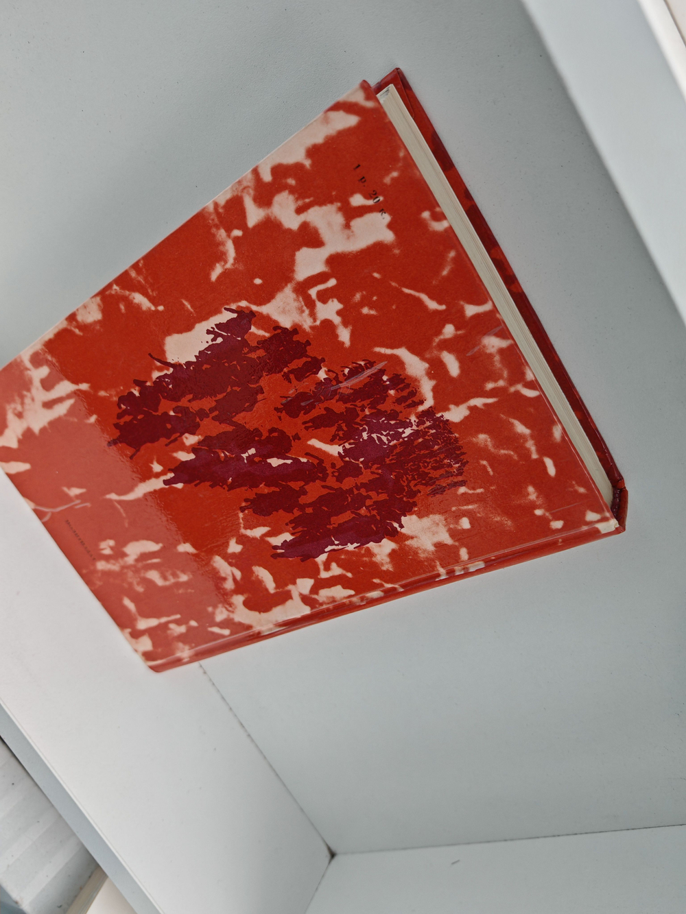 Гвардия Октября. Петроград