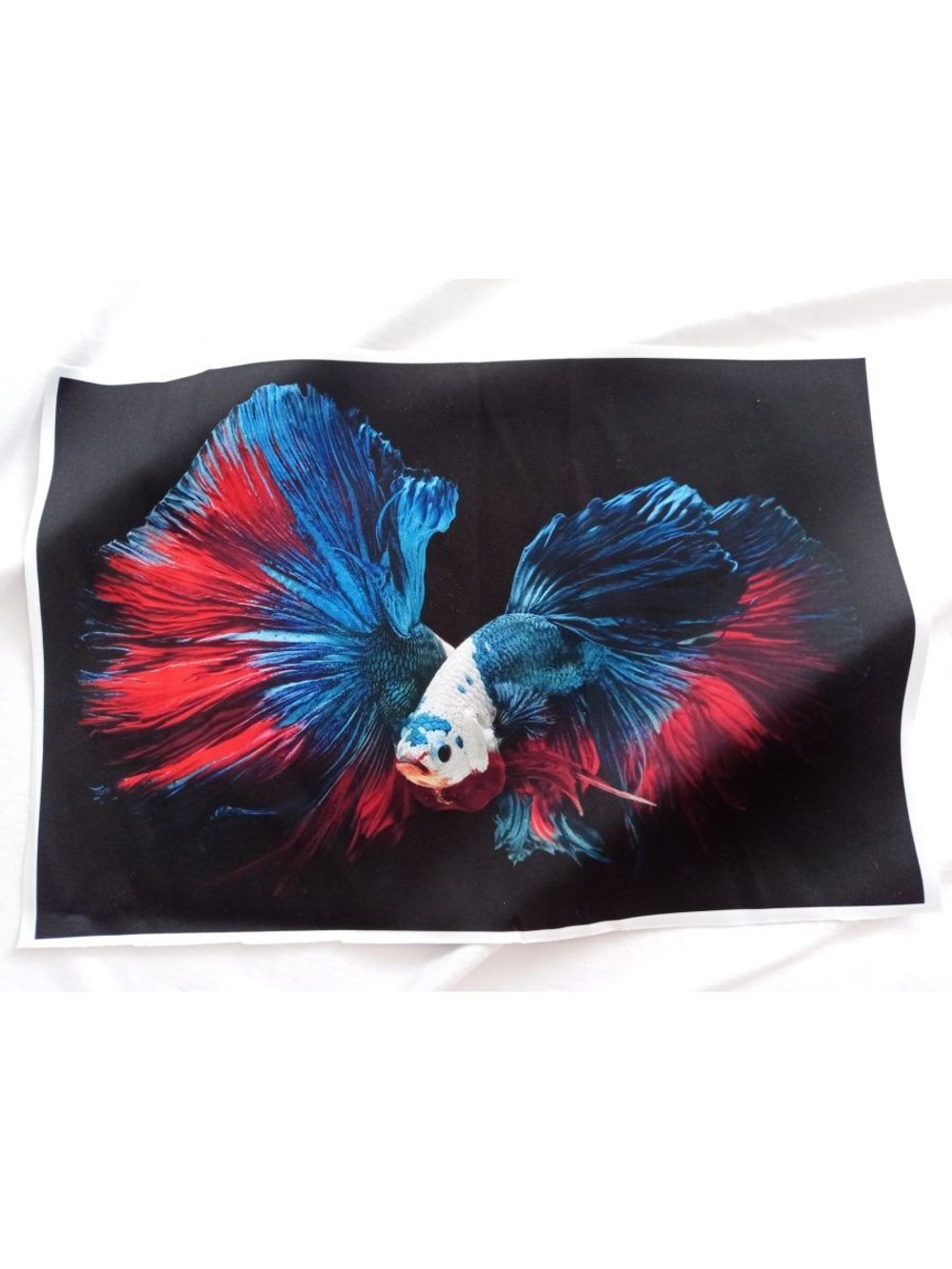 Панель (Армани-шелк дублир-й). Рыбки №6