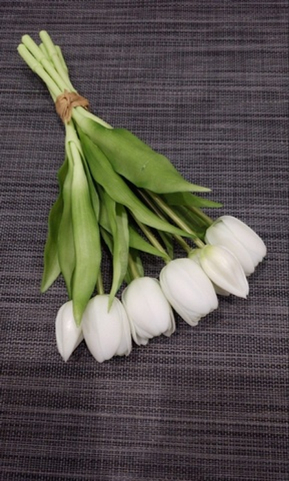 Тюльпаны 30 см 7 штук / #1 (белоснежные)