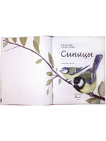 Синицы
