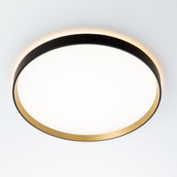 Citilux ETALON CL750401R LED RGB Светильник с пультом Чёрный+Золото