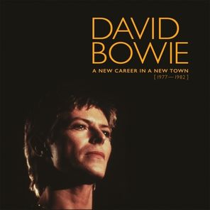 David Bowie / A New Career In A New Town 1977-1982 (13LP)