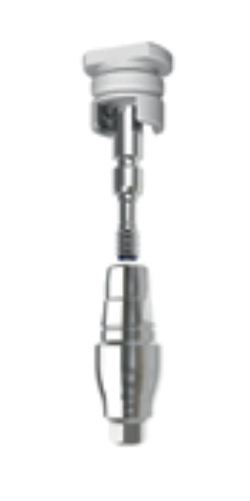 Трансферы открытой и закрытой ложки BEGO SEMADOS