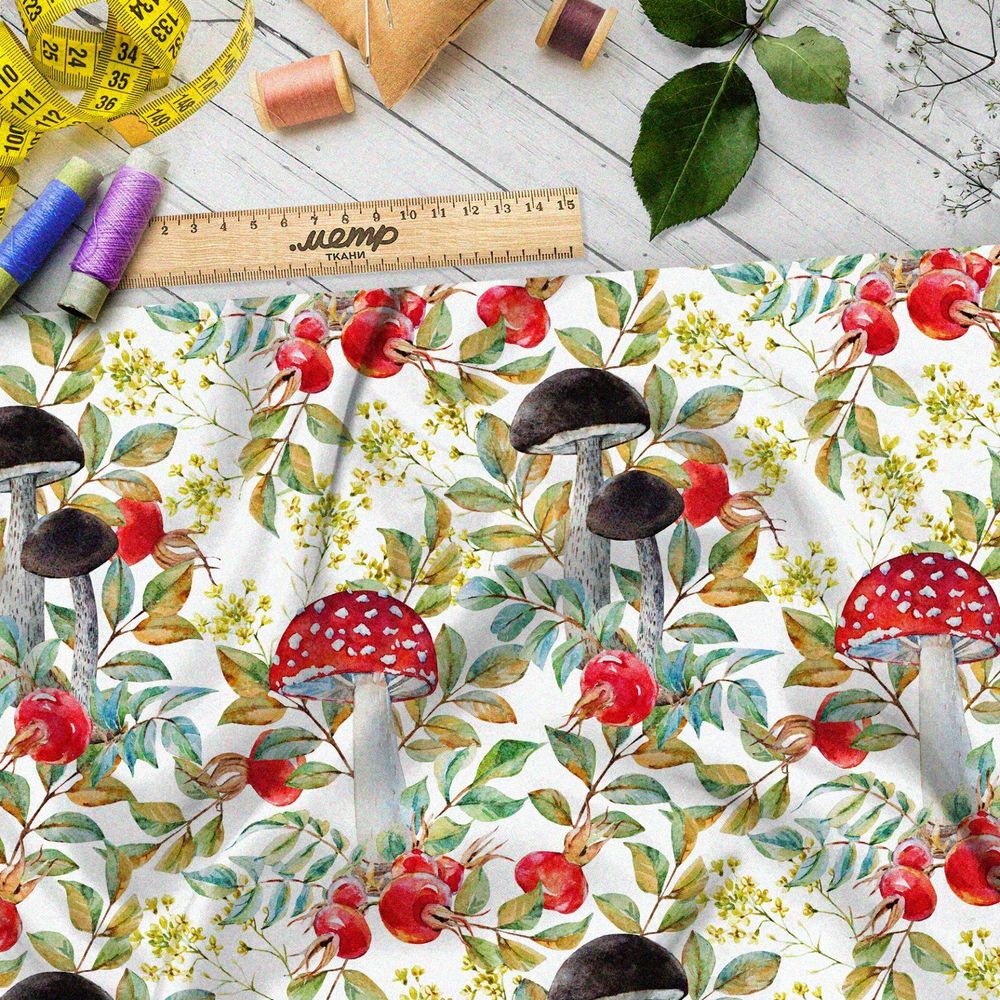 Ткань мембрана крупные лесные грибы и клюква