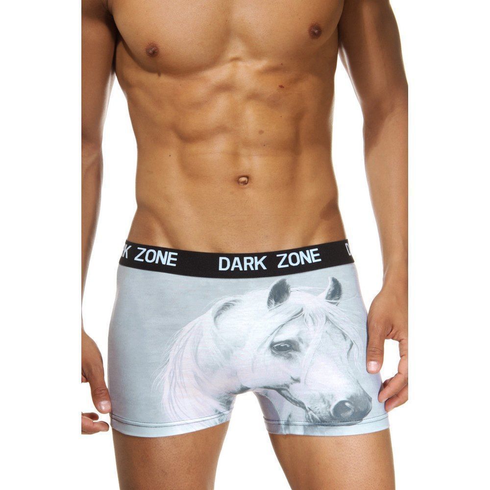 Трусы мужские боксеры с 3D принтом DARKZONE DZN1014