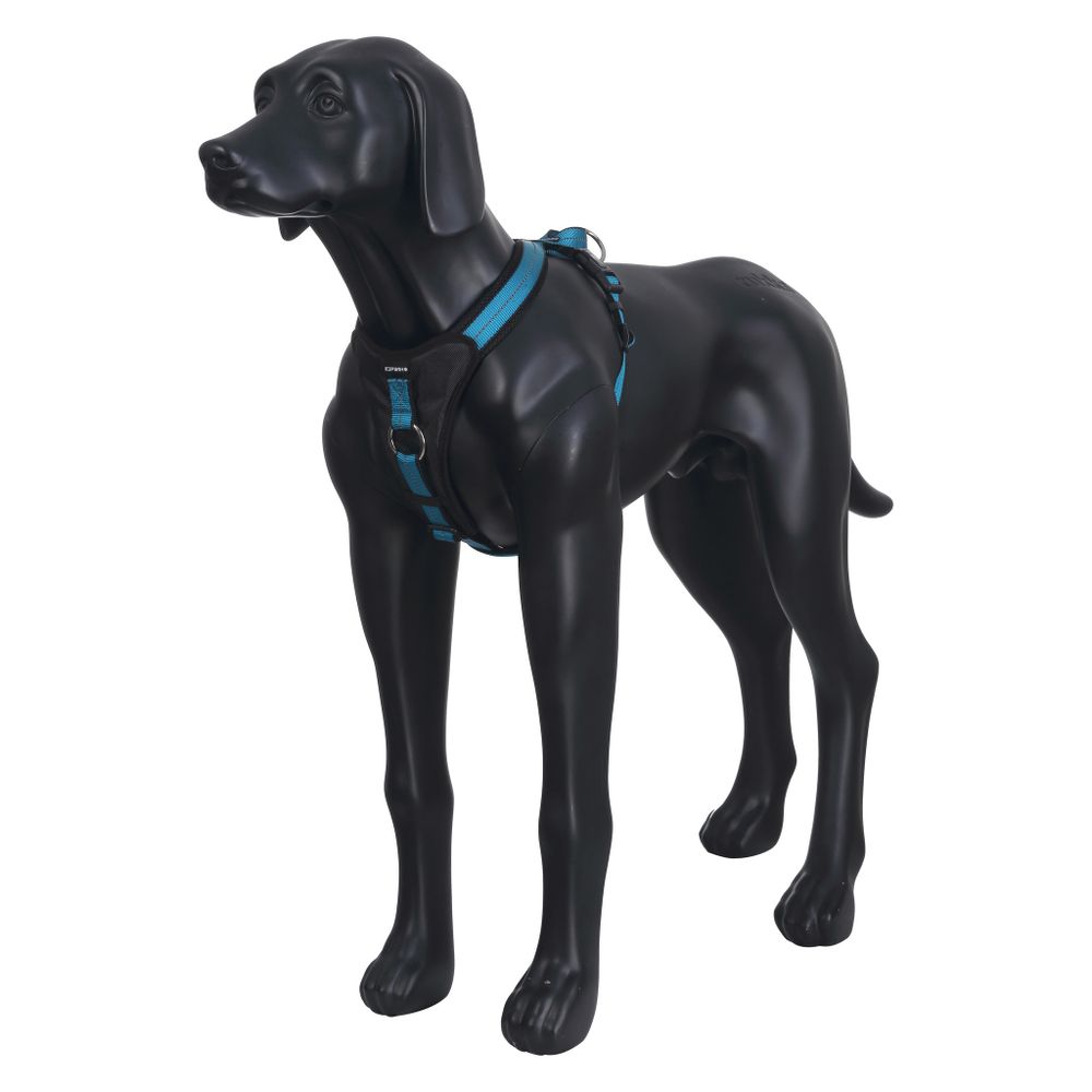 70305 Шлейка ICEPEAK PET SPORTZONE SUPER (HIGHWAY) HARNESS, 340 бирюзовый, Luhta Sportwear Company.