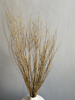 Вереск желтый