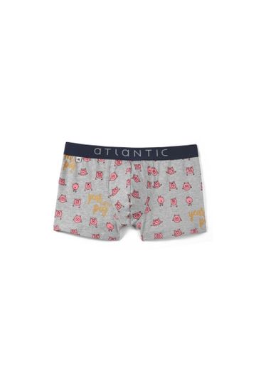 Шорты мужские ATLANTIC MH-1054