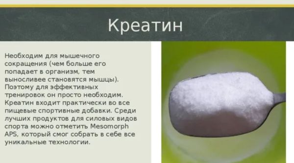 Кому нужен креатин: спортсменам, новичкам, женщинам и людям старшего возраста