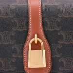 Сумка CELINE Triomphe Canvas, 10I592DQ2-04LU